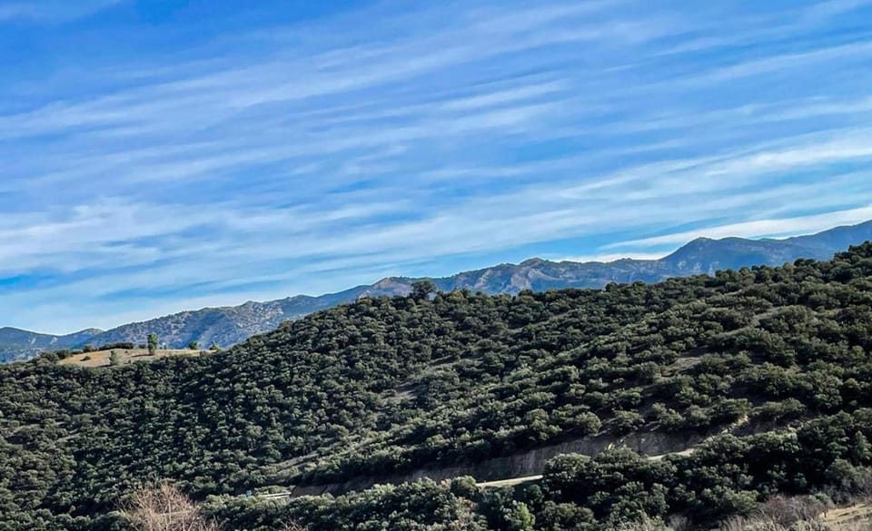 Natural landscape