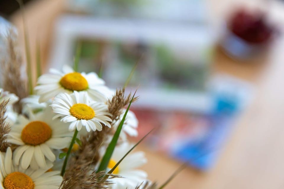 Hus-Pellworm-2-Ferienwohnung-Meereswelle Apartment in Nordfriesland