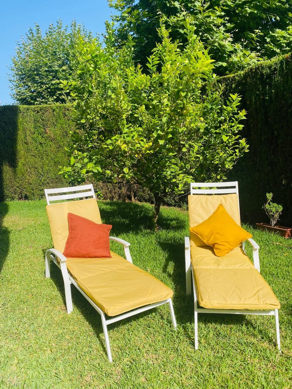 Patio, Garden