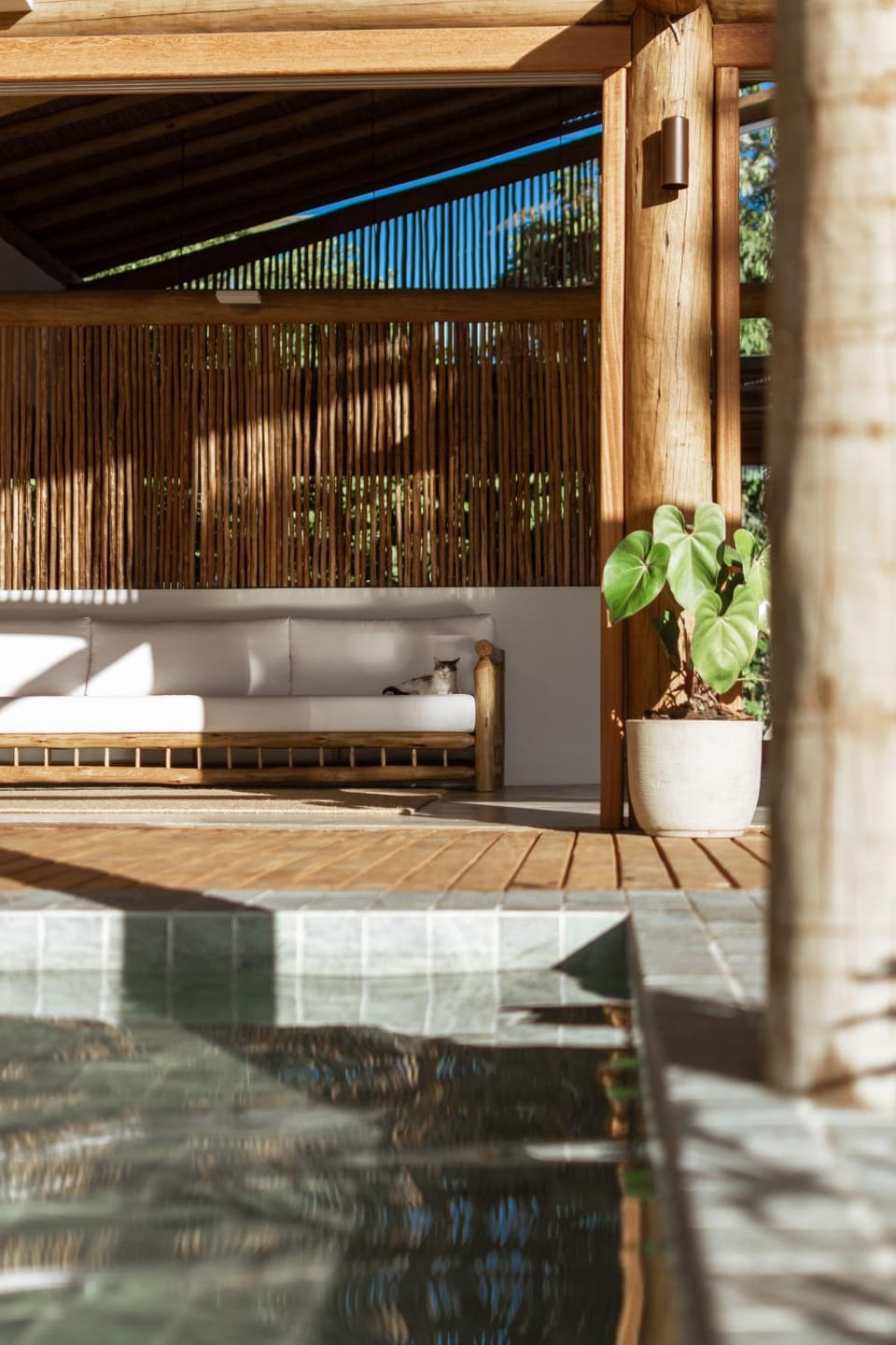 Pool view
