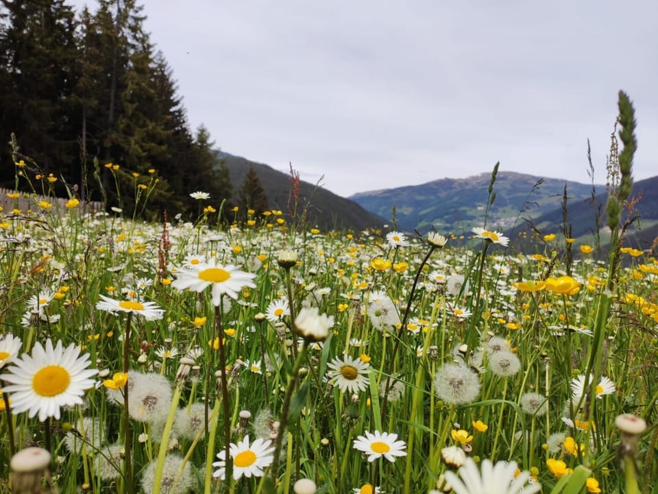 Natural landscape