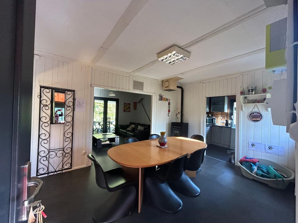 Kitchen or kitchenette, Seating area, Dining area, Animals