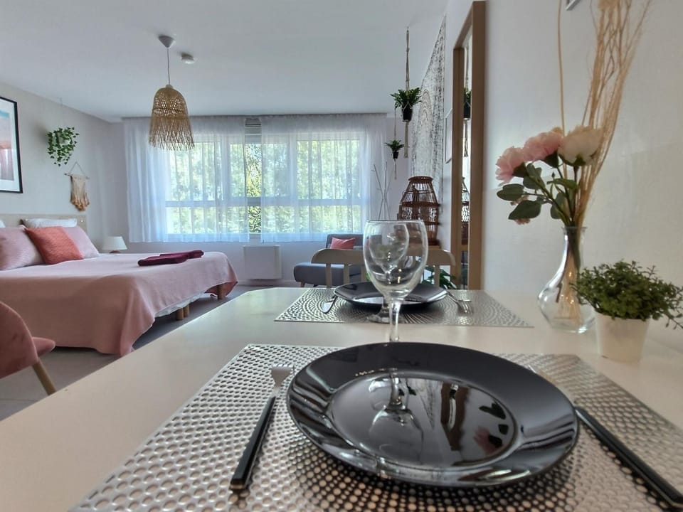 L'AMAZONIE - ROISSY CDG - Parc Astérix - Paris Apartment in Île-de-France