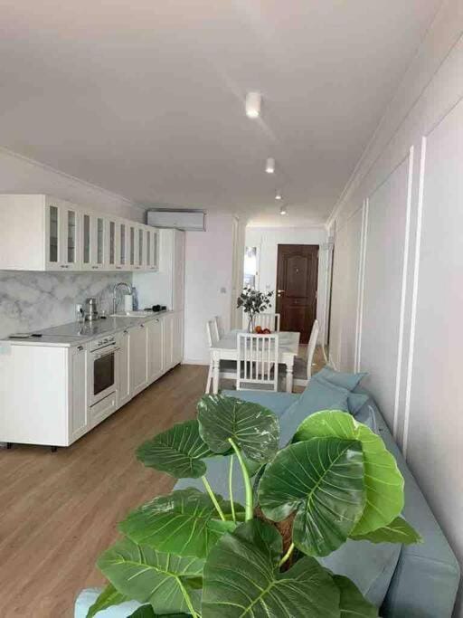 Kitchen or kitchenette, Dining area, pet friendly, stove