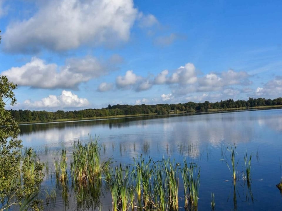 Lake view