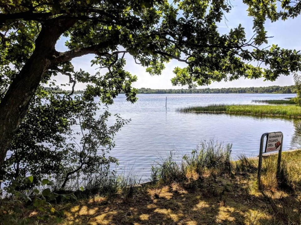 Lake view