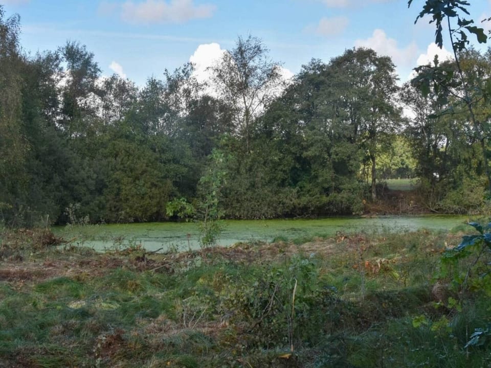 Lake view