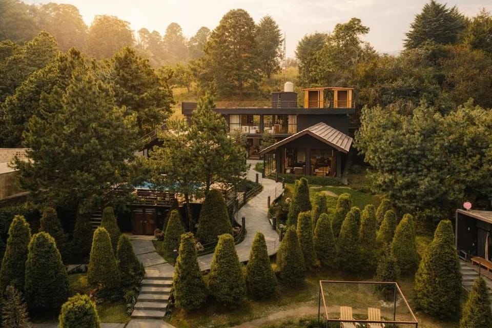 Orgánico Hotel Boutique Hotel in Mexico City