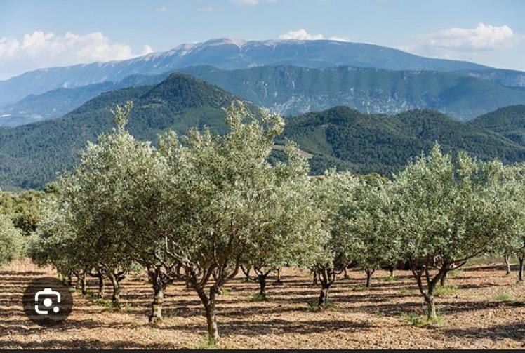 Les Lauriers Duplex centre ville avec jardin House in Provence-Alpes-Côte d'Azur