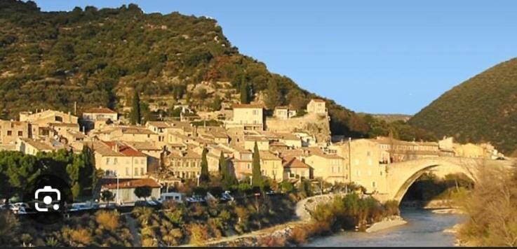 Les Lauriers Duplex centre ville avec jardin House in Provence-Alpes-Côte d'Azur