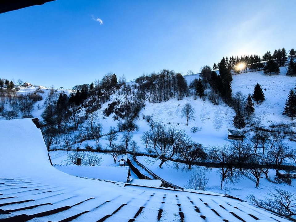 Day, Natural landscape, Winter