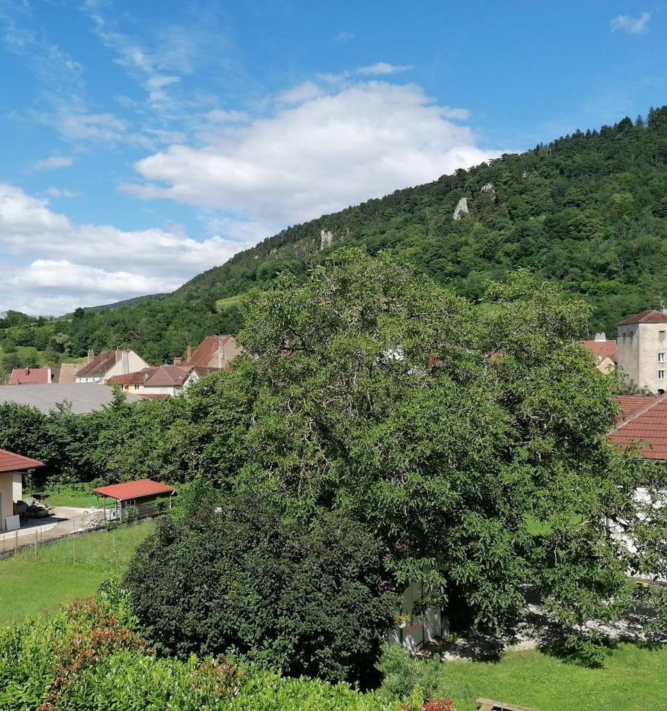 View (from property/room)