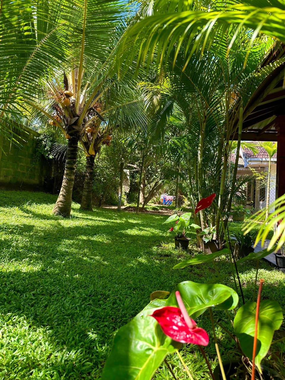 Jasmin Homestay Marakolliya Vacation rental in Southern Province