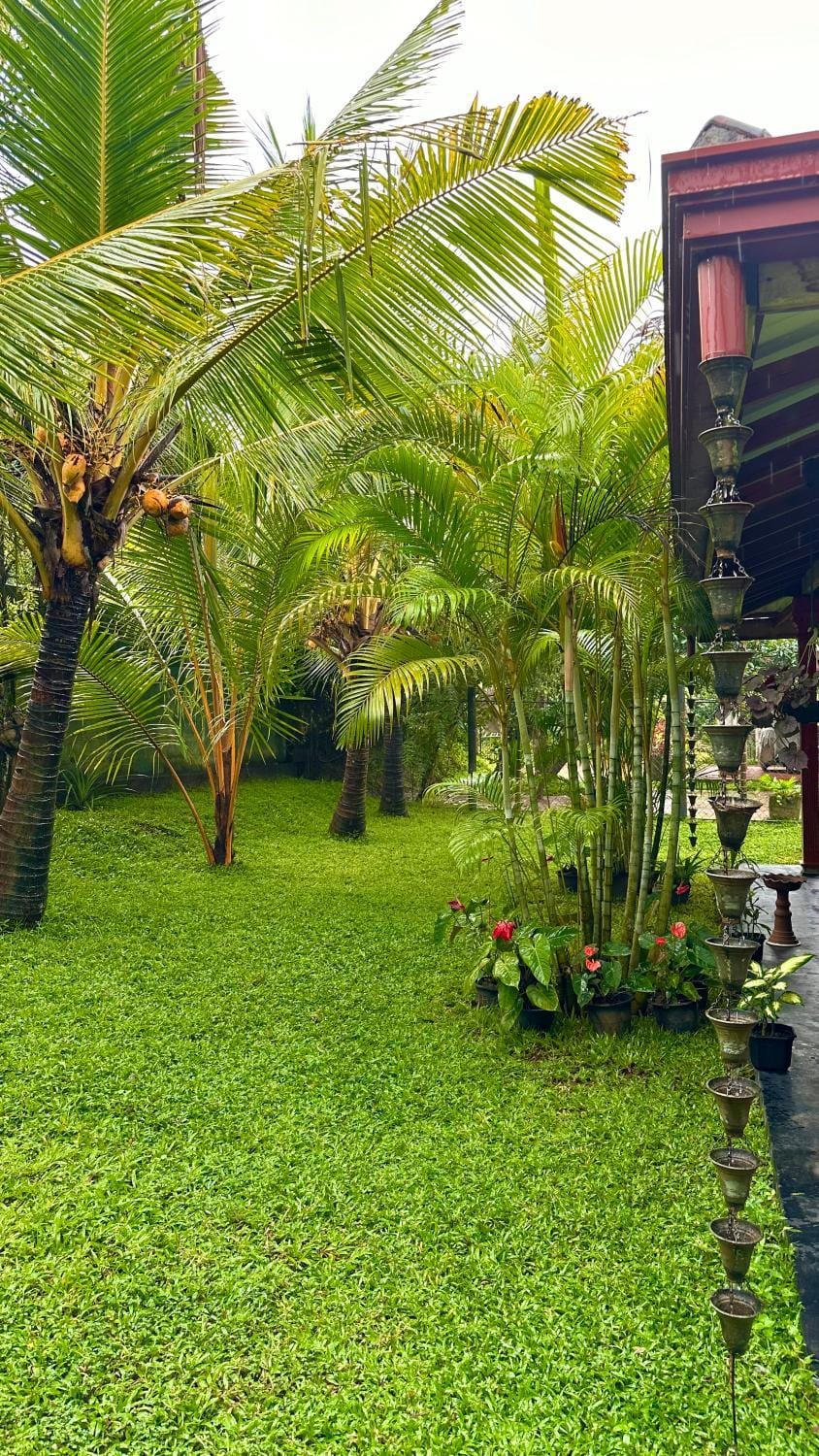 Jasmin Homestay Marakolliya Vacation rental in Southern Province