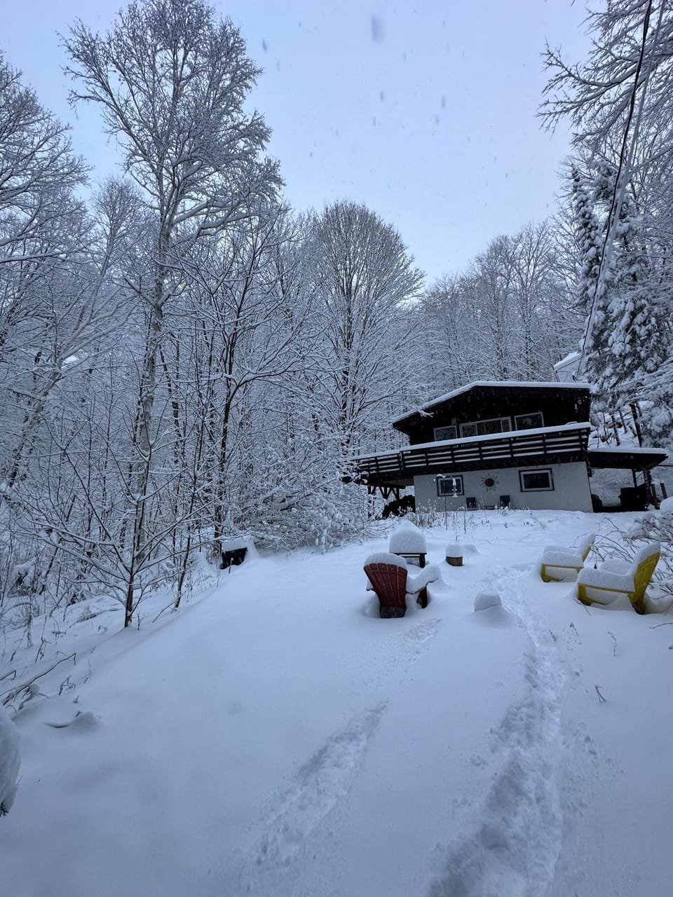 Winter