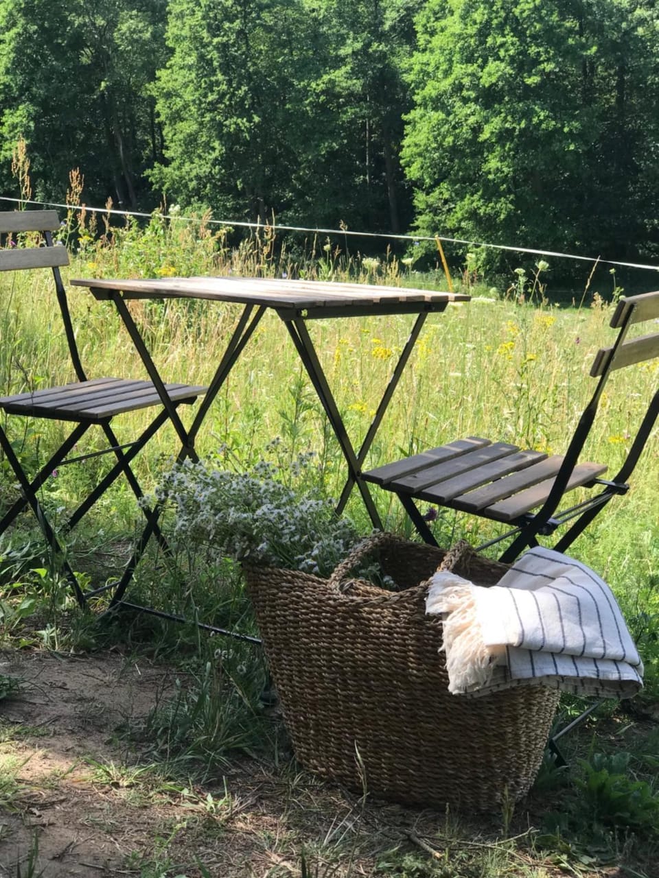 Natural landscape, Garden