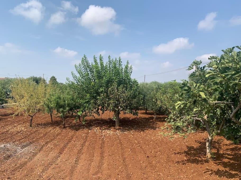 AL PEPE NERO - Casa in campagna a soli 5 minuti dal mare Apartment in Apulia