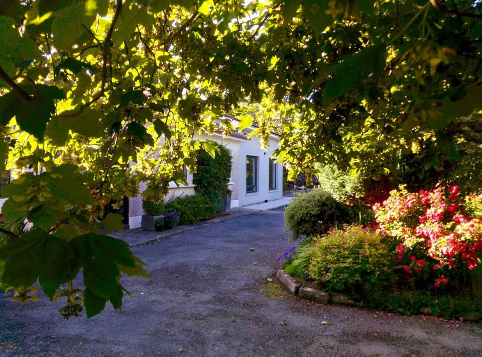 Spacious Contemporary Chalet type Apartment. Apartment in Galway