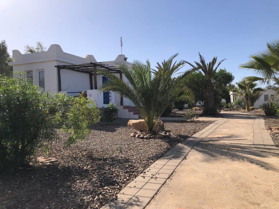 Property building, Garden, Garden view
