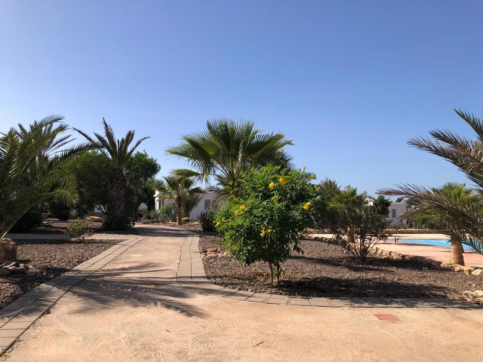 Property building, Garden