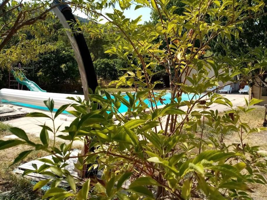 Garden, Garden, Garden view, Pool view