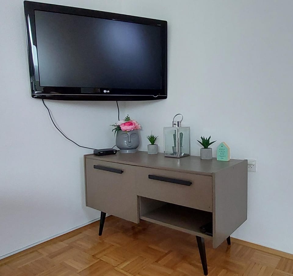 TV and multimedia