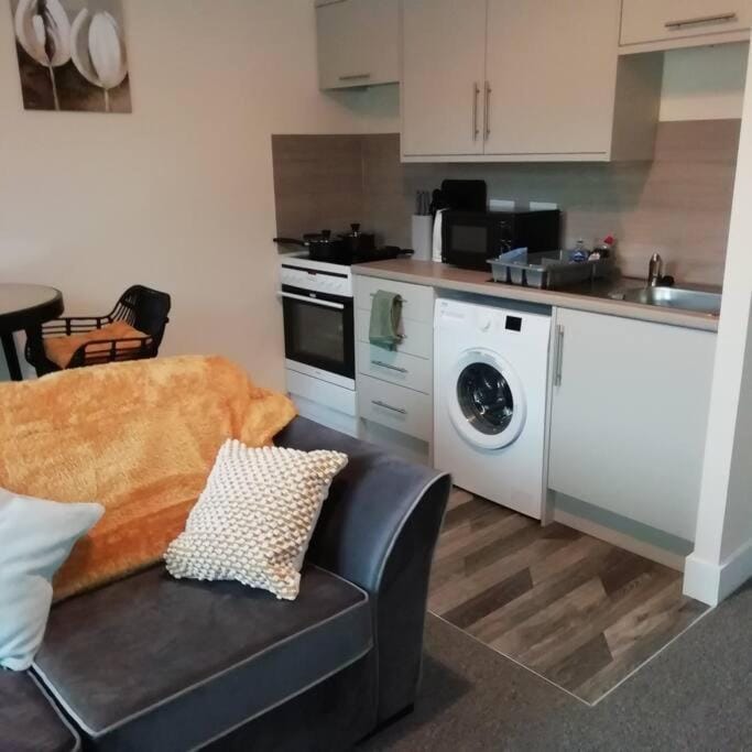 Kitchen or kitchenette, Living room, Seating area, Dining area, minibar, pet friendly, washing machine