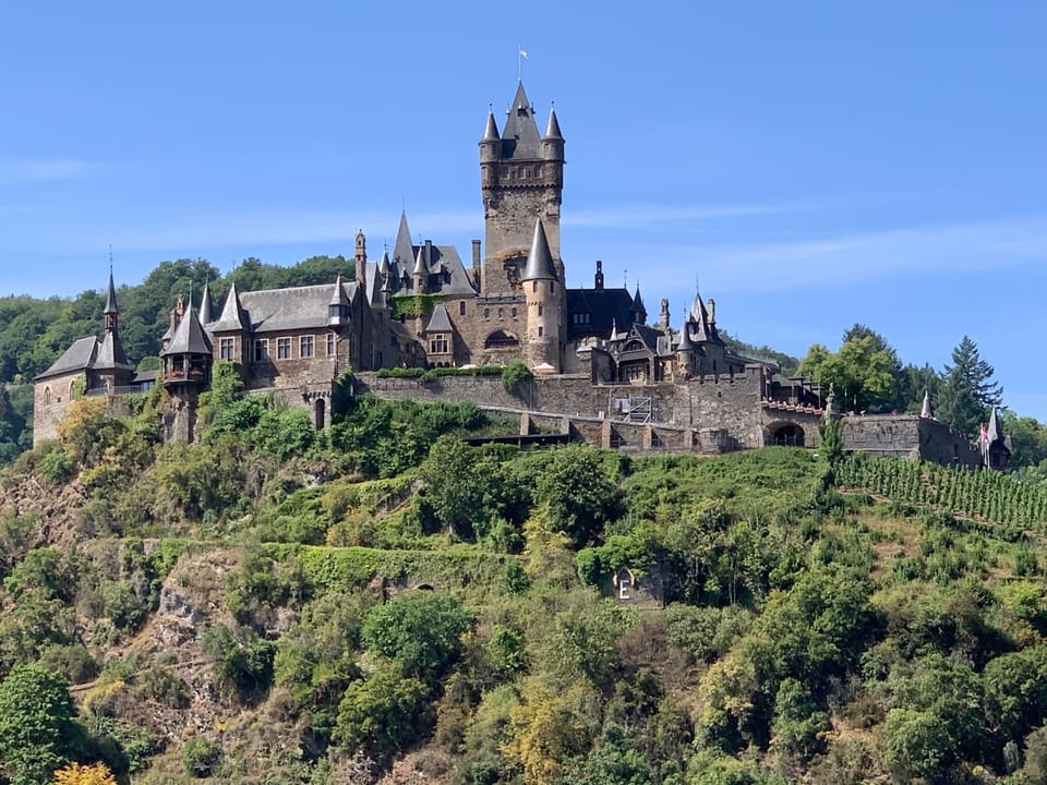 Ferienwohnung Moseltraum Apartment in Cochem-Zell