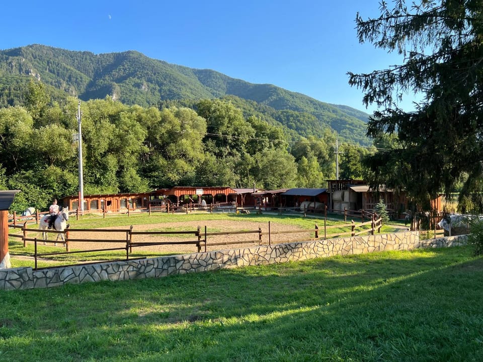 Apartmán Kykula - Terchová, Vyšné Kamence 1520 Apartment in Slovakia