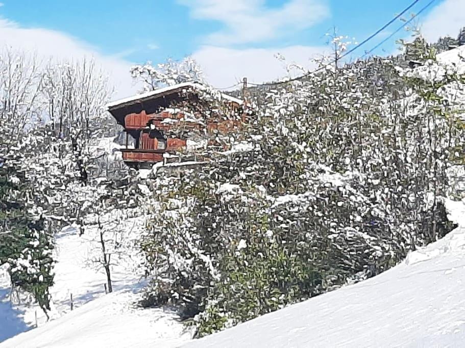 Mountain chalet Apartment in Tyrol