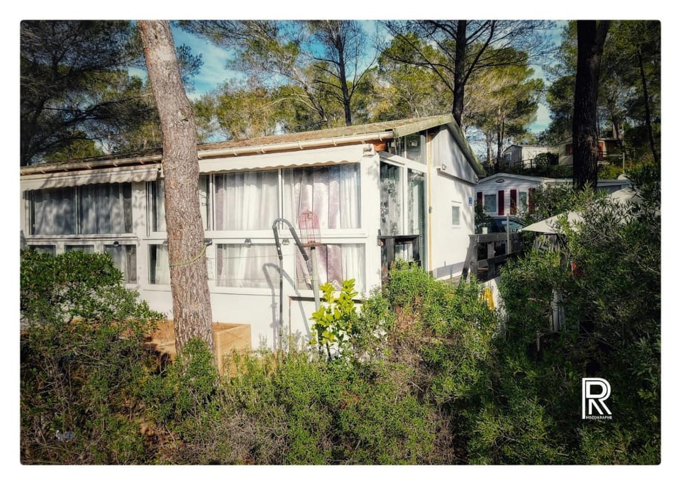 Property building, Spring, Day, Garden, View (from property/room), Garden view