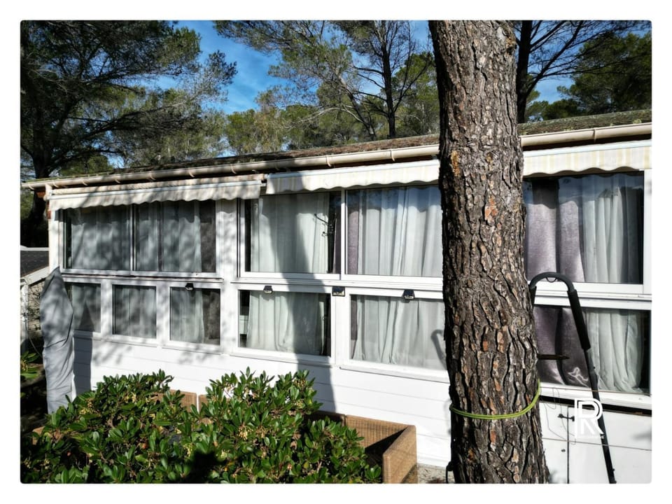 Property building, Spring, View (from property/room), Garden view