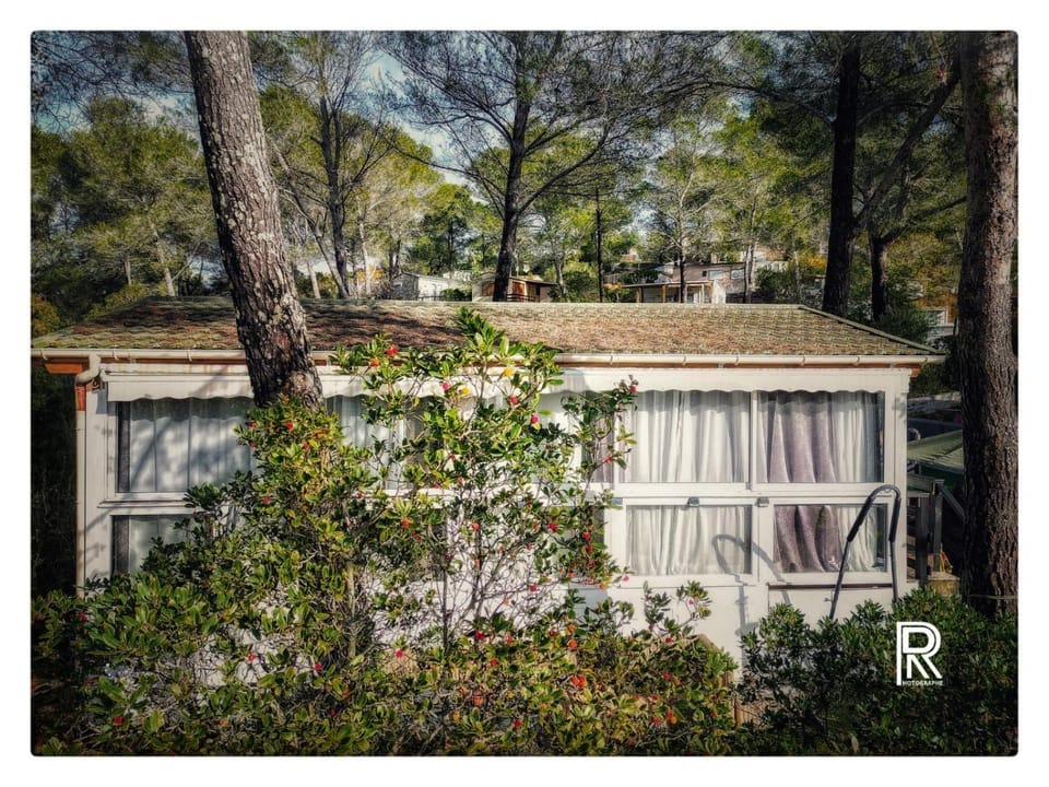 Property building, Spring, Day, Garden, View (from property/room), Garden view