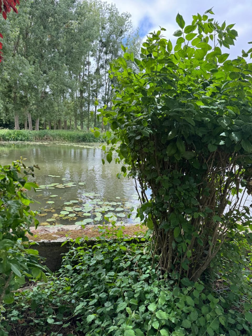 Moulin d'Ignières Bed and Breakfast in Pays de la Loire