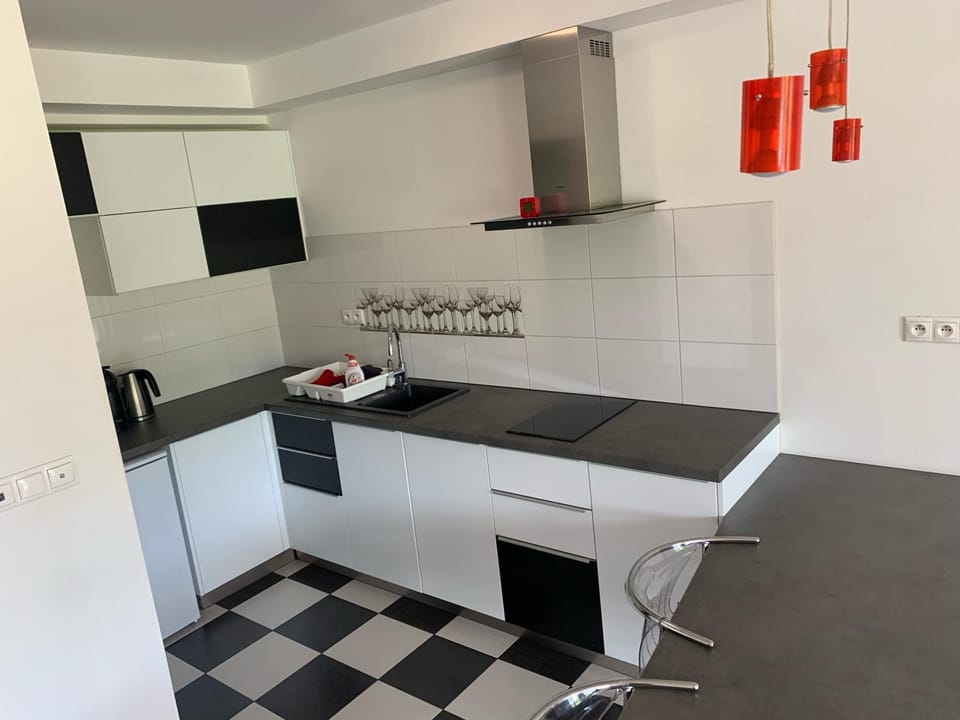 Kitchen or kitchenette, dishwasher, minibar, stove, kitchen, kitchen