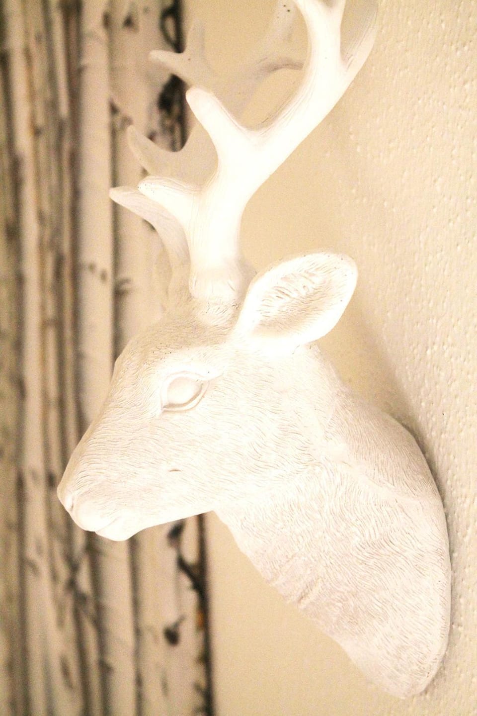 Decorative detail