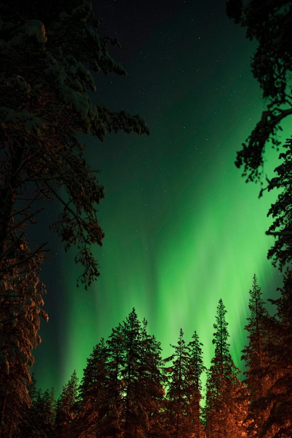 Night, Neighbourhood, Natural landscape, Activities, Winter, Garden, Garden view