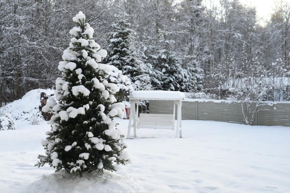Day, Natural landscape, Winter, Garden, Entertainment, children, young children, older children, Family