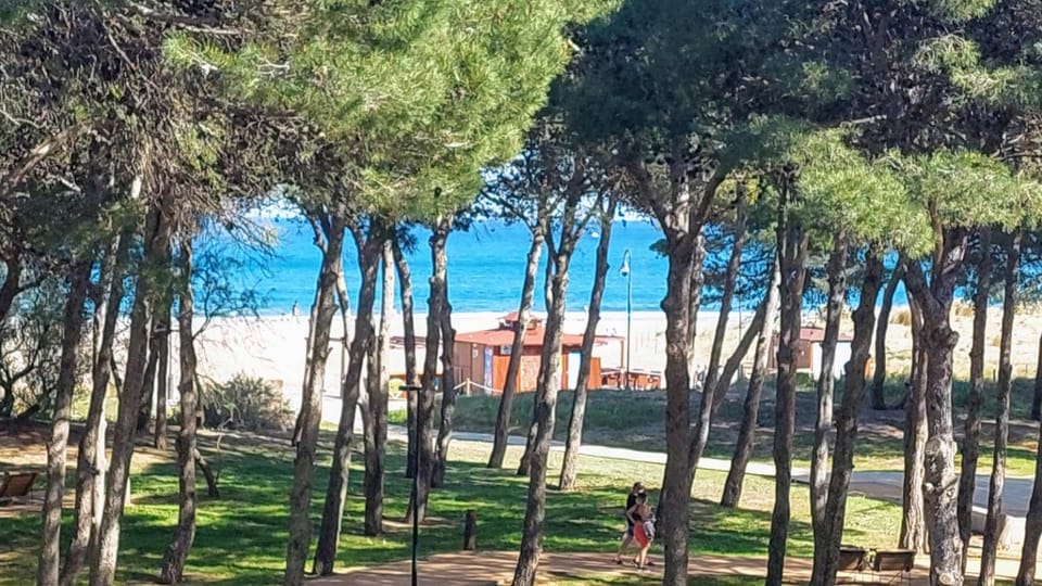 Sea view