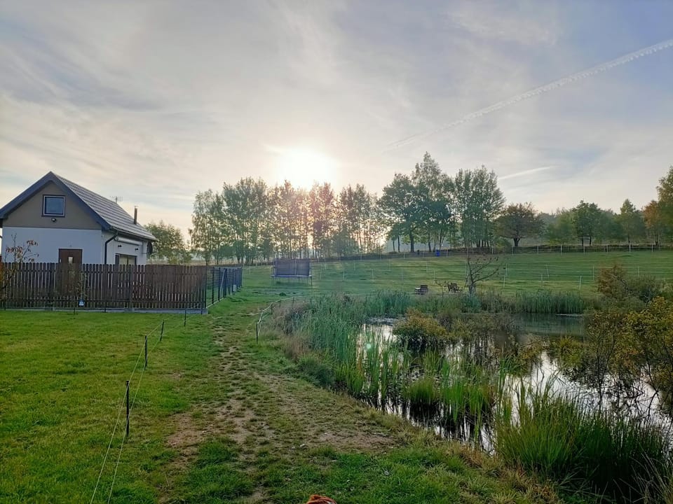 Natural landscape, Garden, Garden view