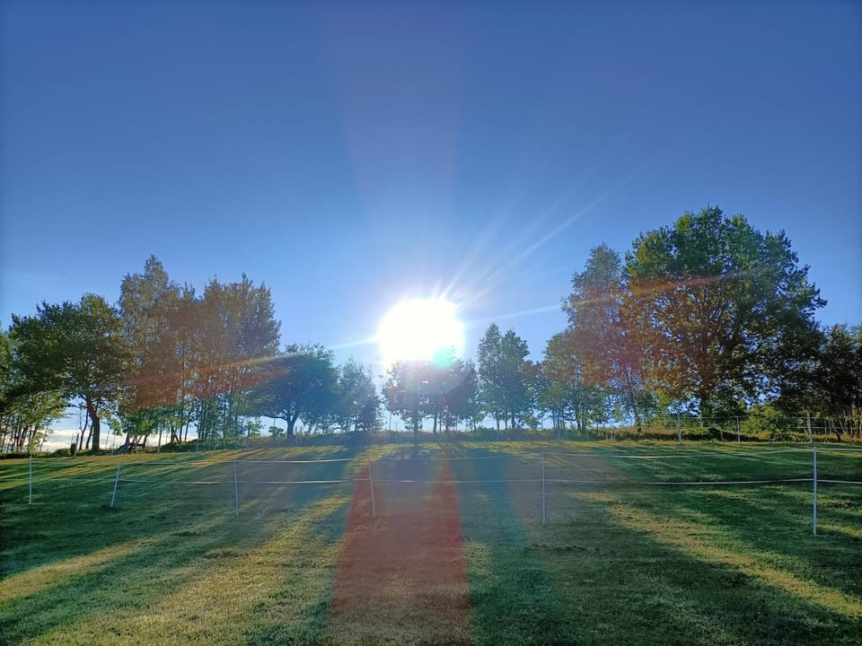 Natural landscape
