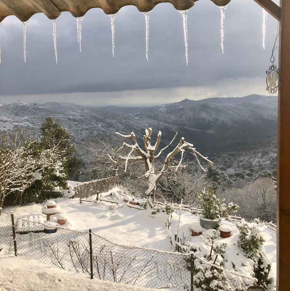 Natural landscape, Winter, Garden view, Mountain view