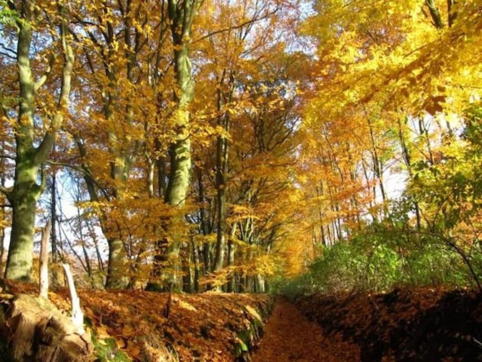 Natural landscape