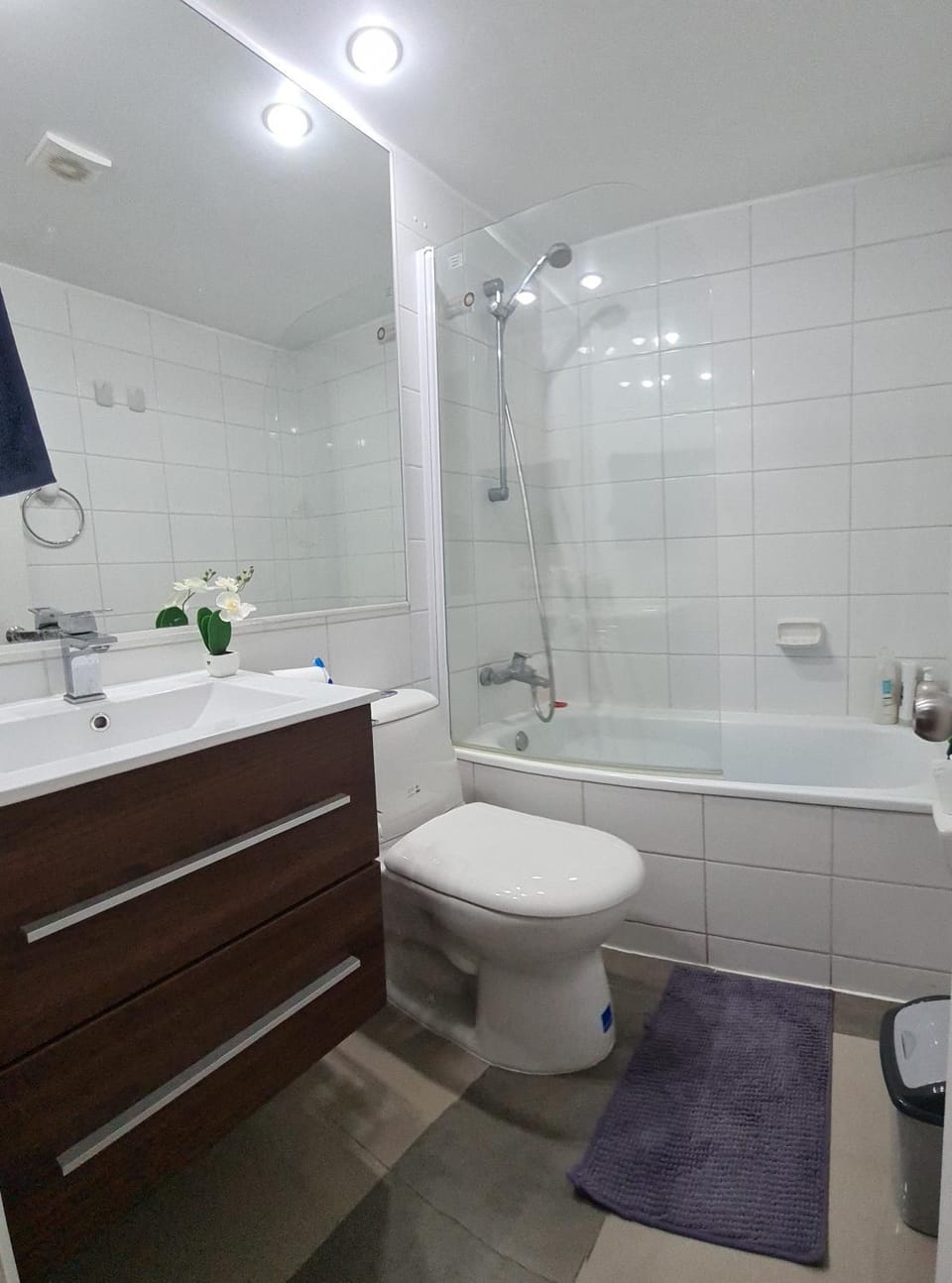 Shower, Toilet, Bathroom, Bath, towels