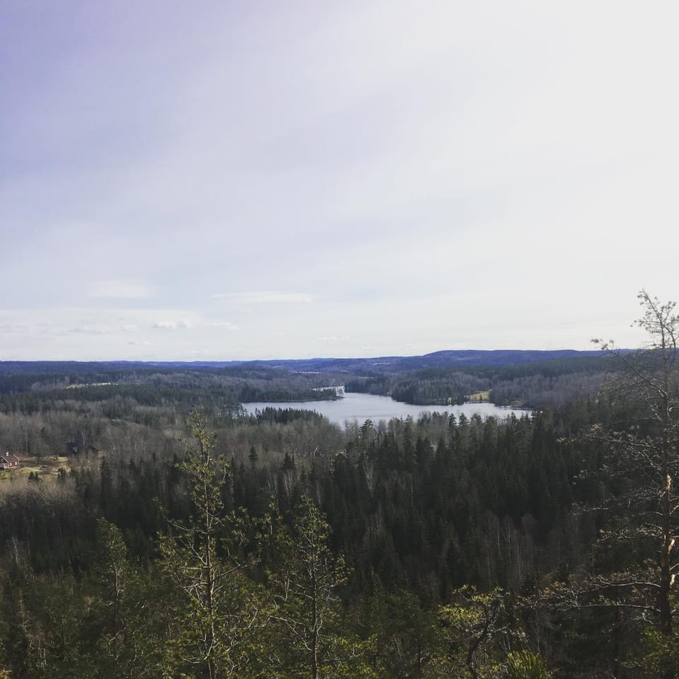 Lake view