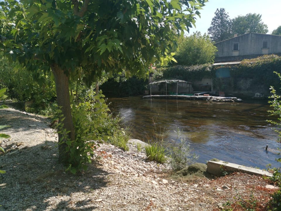 Garden, Landmark view, River view, River view