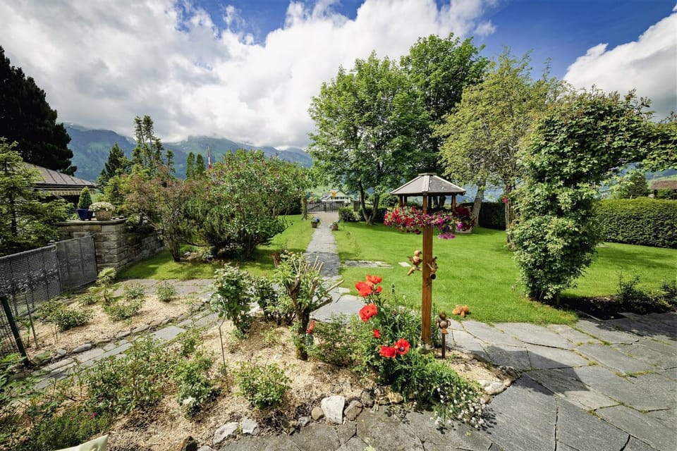 Patio, Garden, Garden view