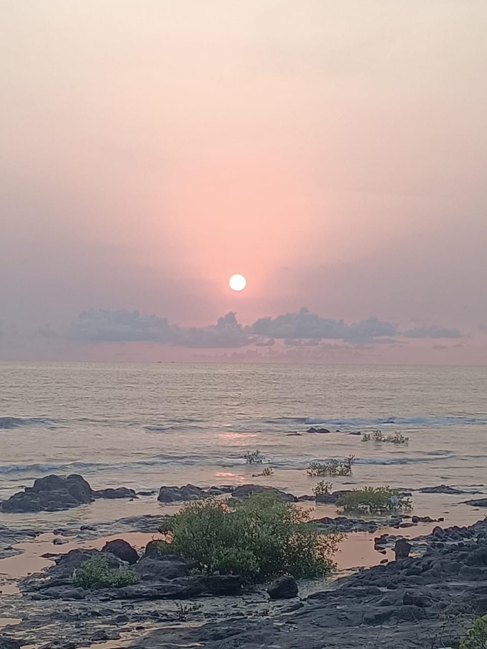 Basant - Madhu Apartment in Maharashtra