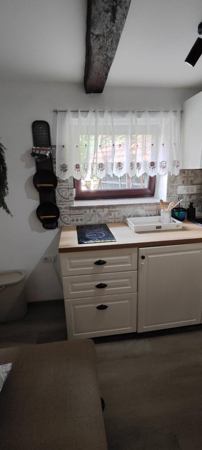 Begova kuća-Velika Kladuša Apartment in Federation of Bosnia and Herzegovina