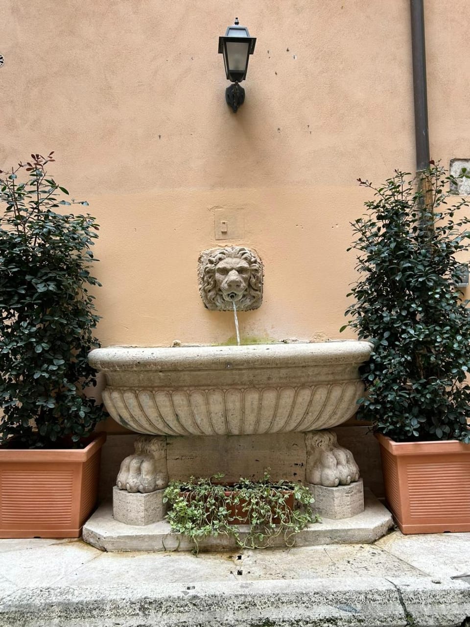 Inner courtyard view